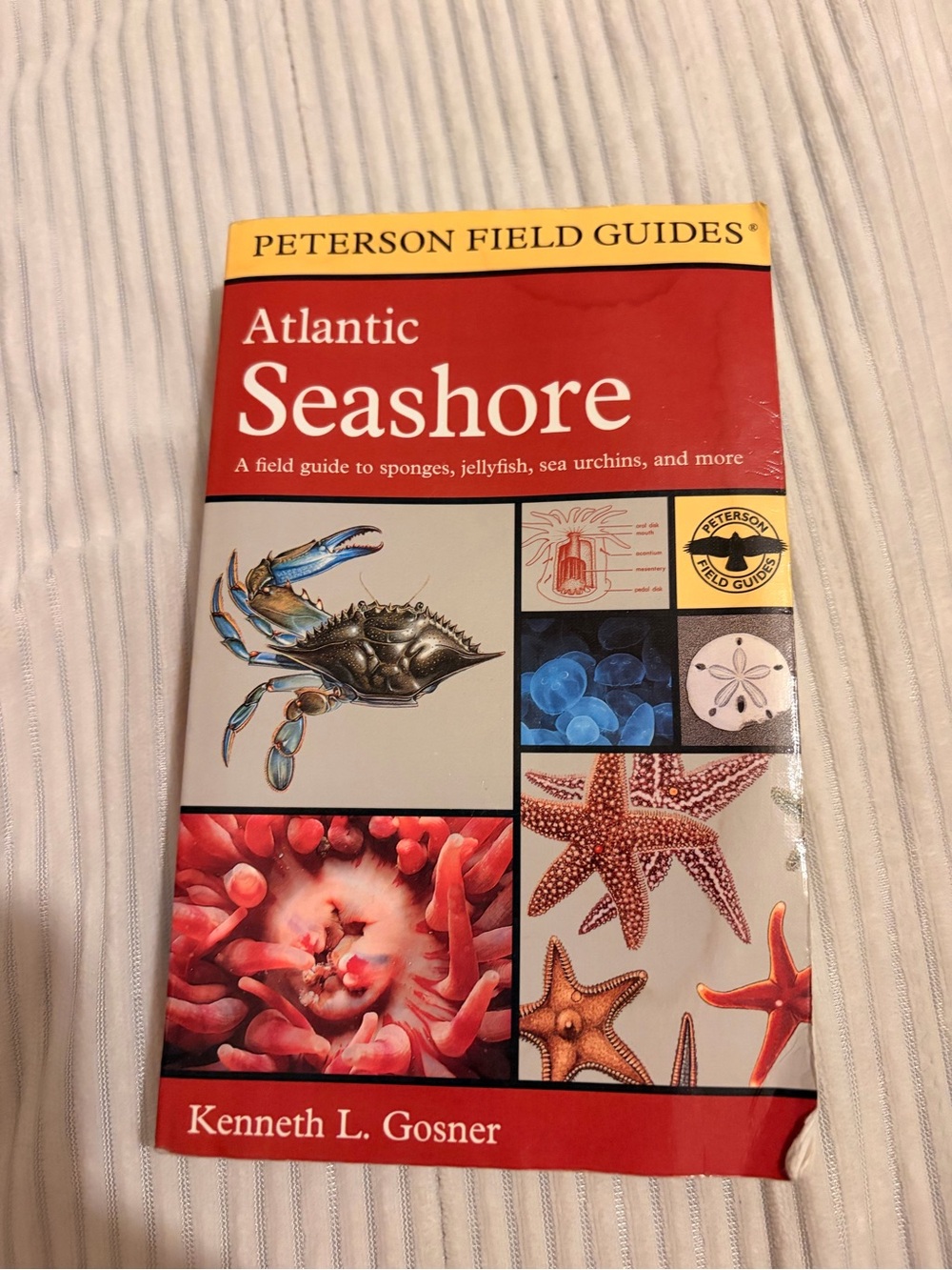 : Atlantic Seashore - Red Cover